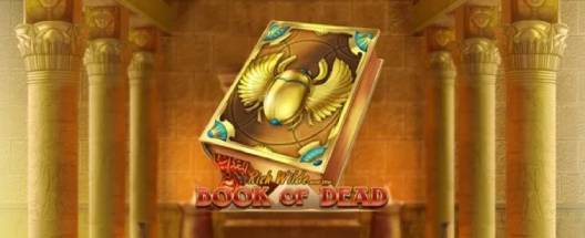 Book of Dead game at Royal Panda